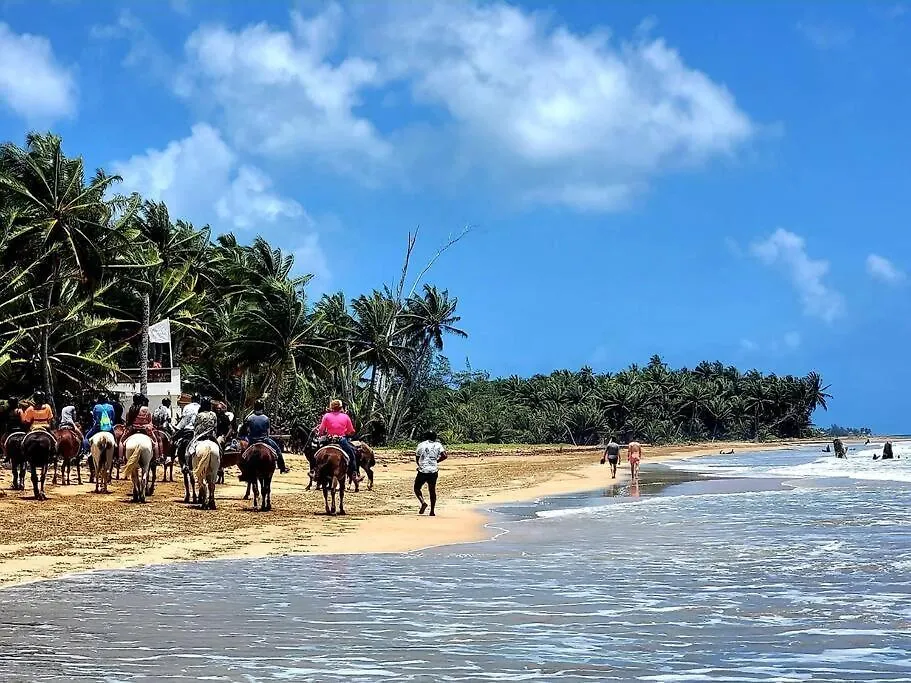 Ocean Beach Front In Luquillo Pr Near El Yunque 0*,