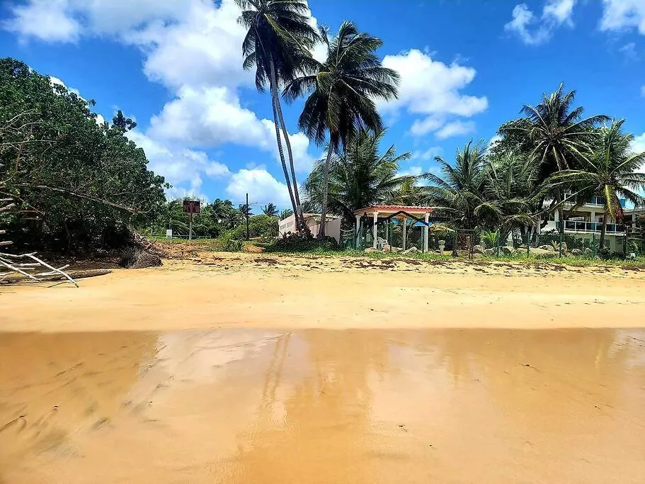 Apartament Ocean Beach Front In Luquillo Pr Near El Yunque Portoryko