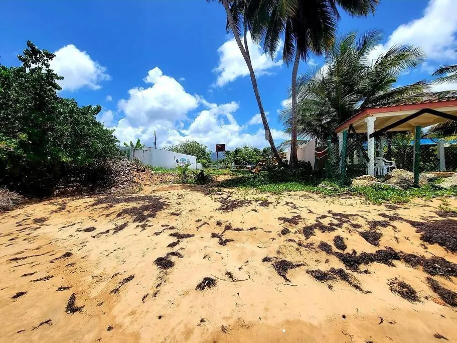 Ocean Beach Front In Luquillo Pr Near El Yunque Apartament
